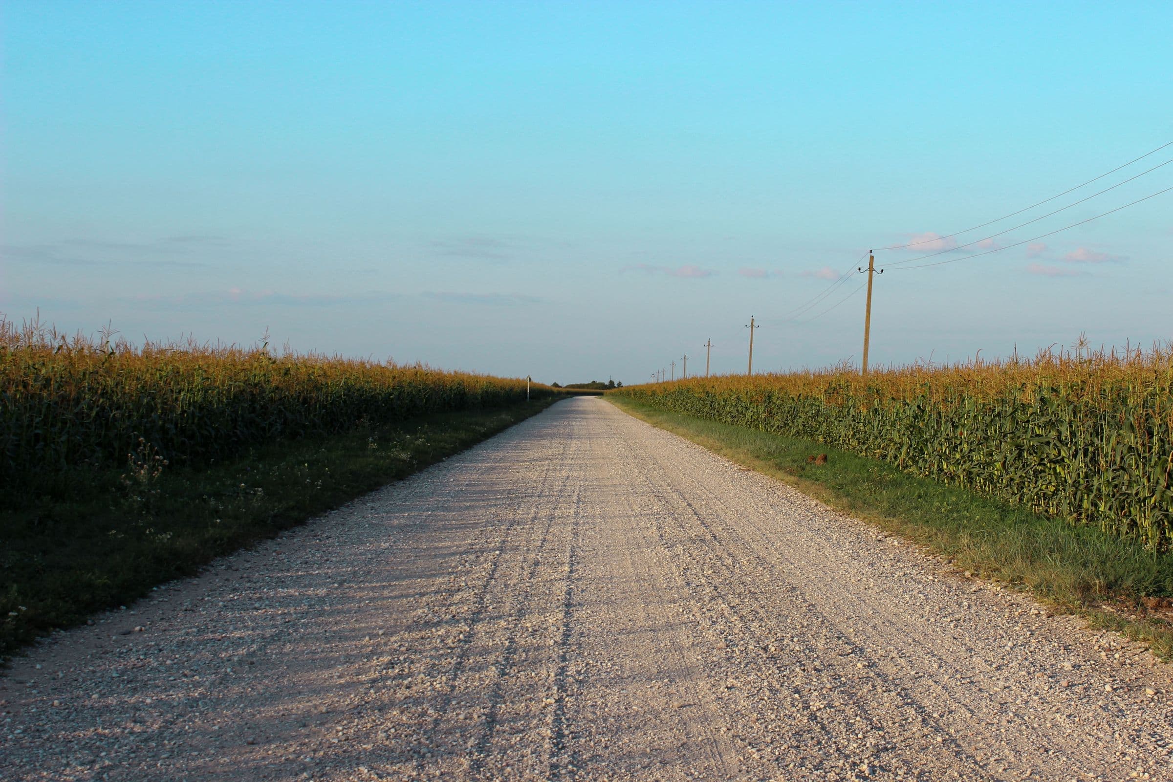 A long gravel section road between cornfields near Hartford, where we do mobile windshield replacement